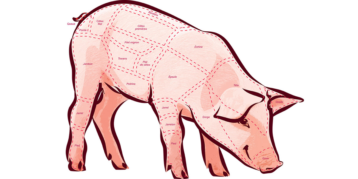 Schéma de découpe d'un cochon